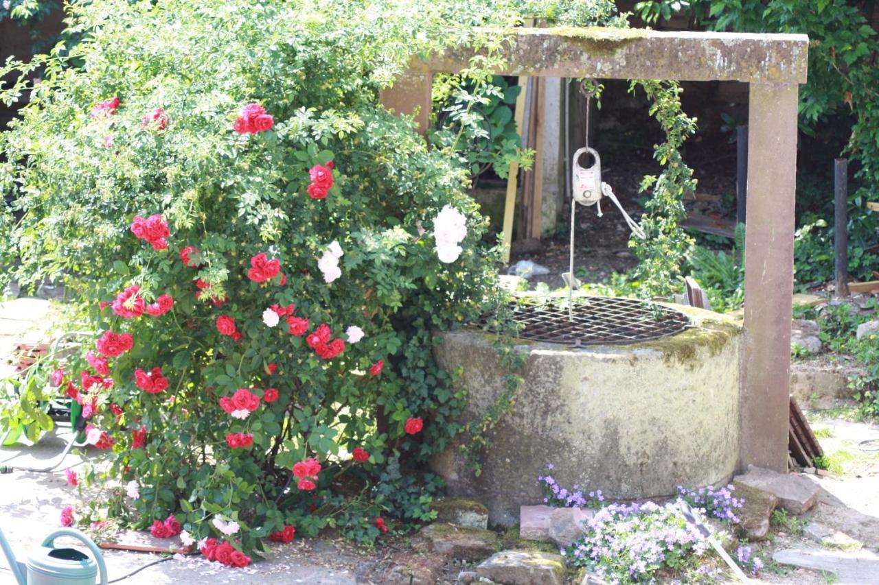 Bed and Breakfast La Grange Aux Coqs Ittenheim Esterno foto